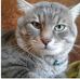 Anna Talamo - Facebook
