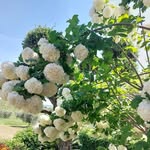 Anna Talamonti - @annatalamonti2 - Instagram