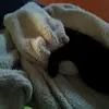annatalbert137 - @annatalbert137 - TikTok