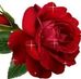 Anna Talia - Facebook