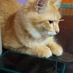Anu Talks - Facebook