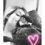 Anna Warren Tallent - Facebook