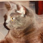 Anna Talotti - @anna.talotti.568 - Instagram