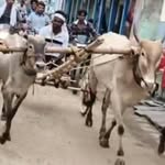 ಅಣ್ಣಾ _  ತಮ್ಮಾ _ ಸಾಮ್ರಾಜ್ಯ - @anna__tamma__samrajya - Instagram
