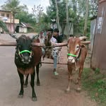Kiccha Sudeep - @anna_tamma_samraj_bulls_25 - Instagram