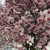 Anna Tammen466 - @annatammen466 - TikTok