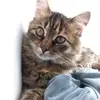 Anna Taranenko - @businka28062021 - TikTok