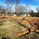 Anna | Thurman Acres - @thurmanacres - Instagram