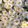 Anna Tober - @nanna.tbr - TikTok