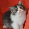 annatoll - @annatoll1802 - TikTok