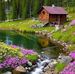 Anna Tortora - Facebook