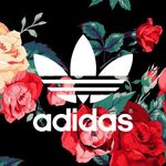 Anna Townsend - @anna_townsend5301 - Instagram