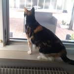Anna trapani - @trapani1307 - Instagram