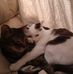 Anna Trapani - Facebook