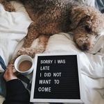 Anna Traynor - @anna_traynor - Instagram
