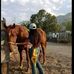 Anna Treviño - Facebook