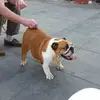 Anna Trulock - @anna.trulock - TikTok