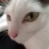 Annabelle Trulock - @annabelle.trulock2 - TikTok