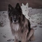 Anna Turek - Facebook