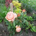 Anna Turek - Facebook