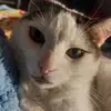 Anna Tye - @anna.tye0 - TikTok