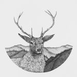 Anna Underwood - @hawkwood.art - Instagram