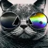 anna_vasilyeva88 - @anna_vasilyeva88 - TikTok