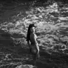 ANNA VASSALLO - @.anna_vassallo - TikTok