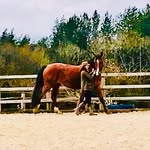 Anna Vickery Equitation - @annavickeryequitation - Instagram