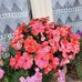 Anna Maria Vietti - Facebook