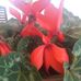 Anna Maria Vietti - Facebook