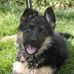 Anna Vietti - Facebook