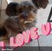 Anna Viscusi - Facebook
