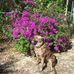 Anna Wadsworth - Facebook
