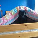 Anna Wadsworth - @pavisasleep - Instagram