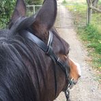 Anna Waites - Facebook