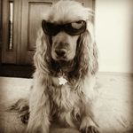 Anna Wajda - @aniawaj65 - Instagram