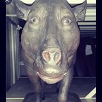 Anna Wajda - @mikolajwajda23 - Instagram