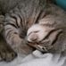 Anna Wass - Facebook
