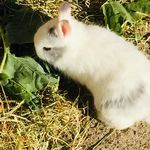 Anna Wehr - @wehr.anna - Instagram
