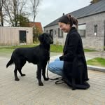 Anna Wehrs - @annawehrs - Instagram