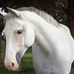 Anna Weis - Facebook