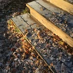 Anna Westerlund - @westerlund9975 - Instagram