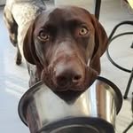 Anna Westerlund - @anna.westerlund75 - Instagram