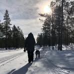 Anna Westerlund - Facebook