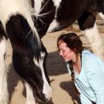 Anna Whelan - @allthepaintedponies - Instagram