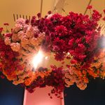 ᴬⁿⁿᵃ ᵂʰⁱᵗᵃᵏᵉʳ - @anna_simone_whitaker - Instagram