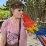 Anna Whiteley - Facebook