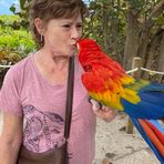 Anna Whiteley - Facebook