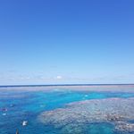 Anna Whiteley - @whiteley110 - Instagram
